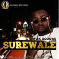 MUSIC: CHIFLEX ODOGWU (@chiflexodogwu)- SUREWALE